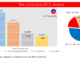 The Latino Vote 2012 Arizona Bar And Pie Chart