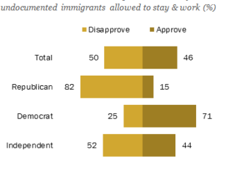 Immigration Action Gets Mixed Response