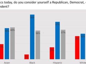 Graphic Chart to determine yourself democrat republic or independent