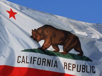 The Flag of California republic in the picture