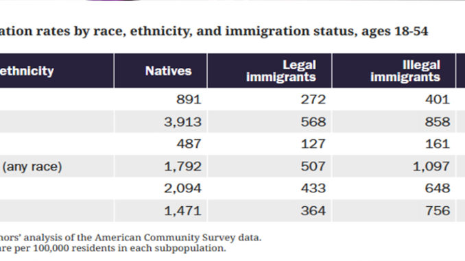 Ethnicity And Immigration Status