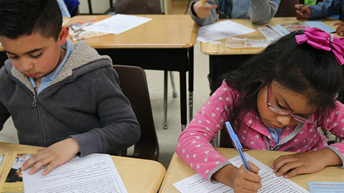 The students are studying in the classroom