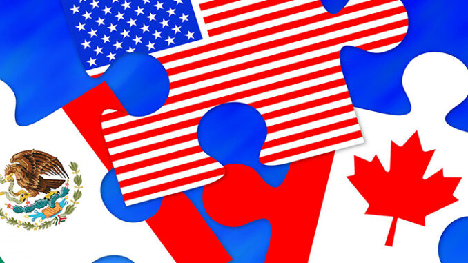 21 Century imm 21st Century Immigrants And Country Flag in Puzzle Card