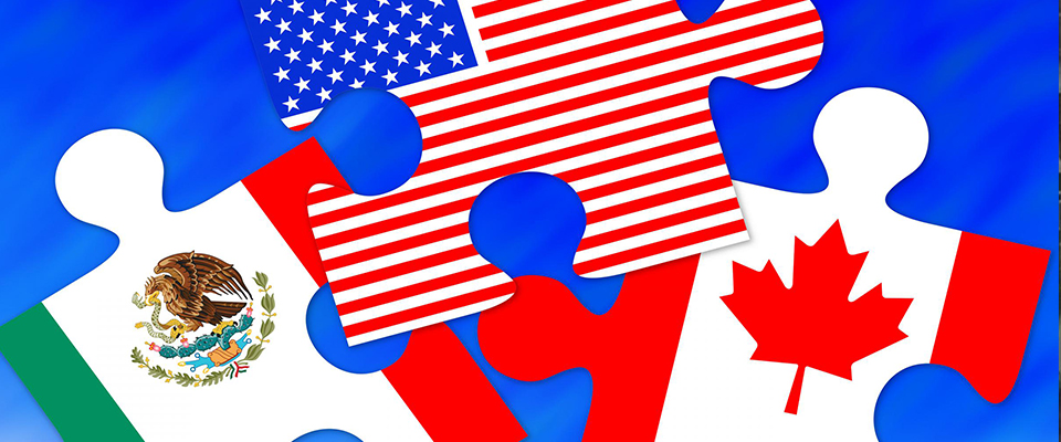 21st Century Immigrants And Country Flag in Puzzle Card