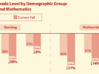 The picture of Grade level by demographic group
