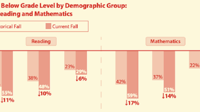 The picture of Grade level by demographic group